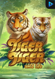 Bocoran RTP Slot Tiger Tiger Wild Life di PENCETHOKI