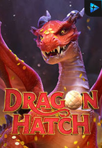 Bocoran RTP Slot Dragon Hatch di PENCETHOKI